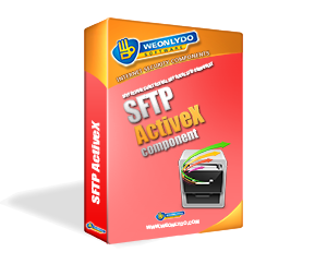 SFTP Client provides secure file transfer functionality over any reliable data